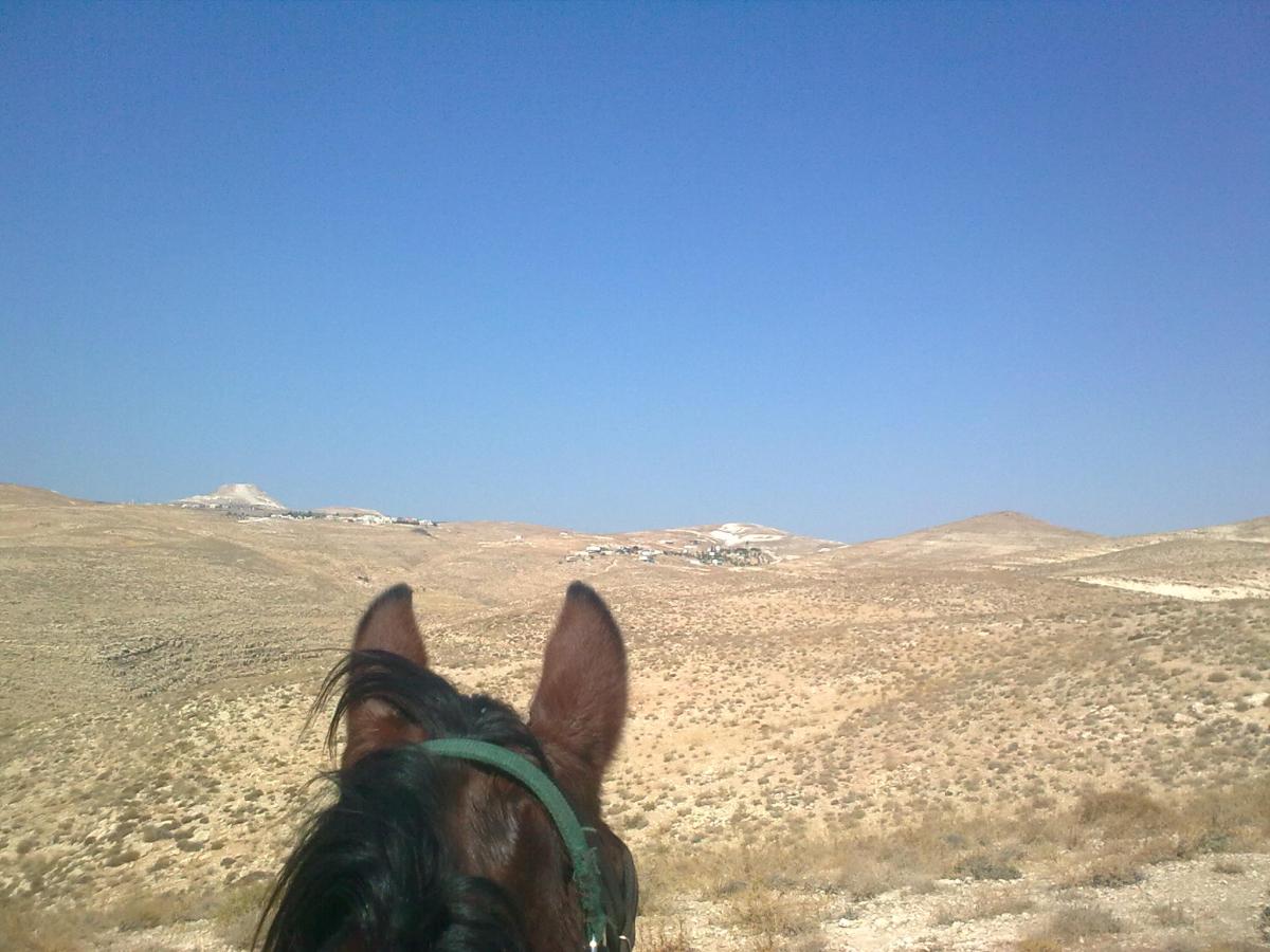 לתיקון מדינת ישראל