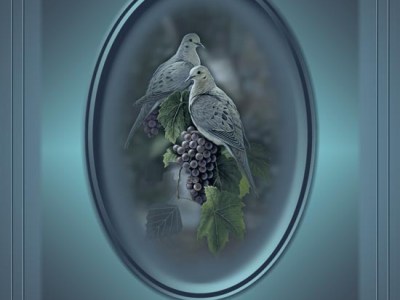 על אחדות ושיתוף&nbsp;פעולה.