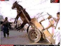 ונהפוך הוא….הרב עדין זצ"ל וחלקו במהפכת הנגד&nbsp;ברוסיה.