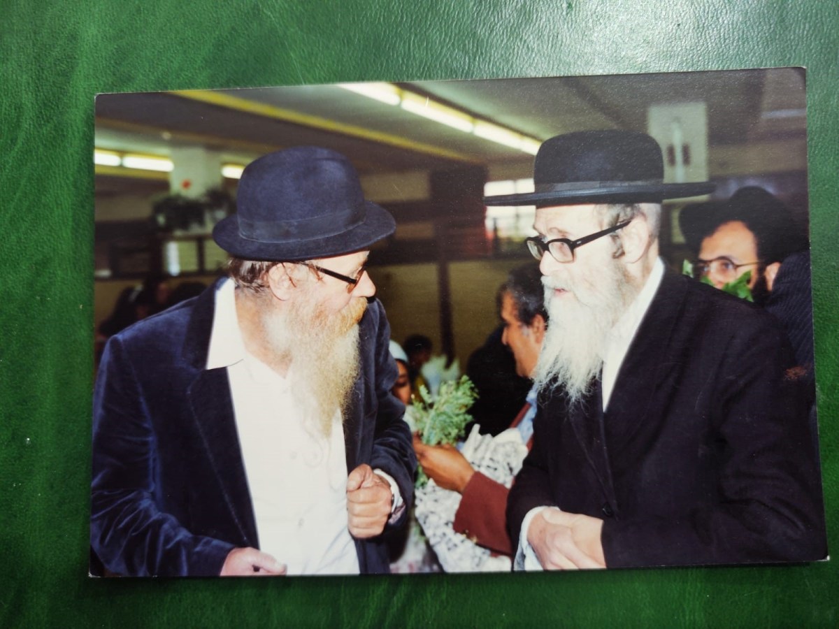 סיפורים מהחיים עם הרב&nbsp;עדין.